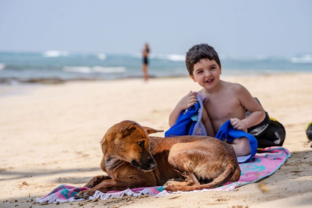 Villaggi che accettano i cani in Sicilia