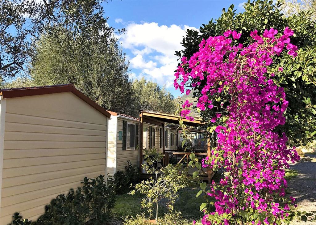 Villaggio Acquamarina - Offerte Last