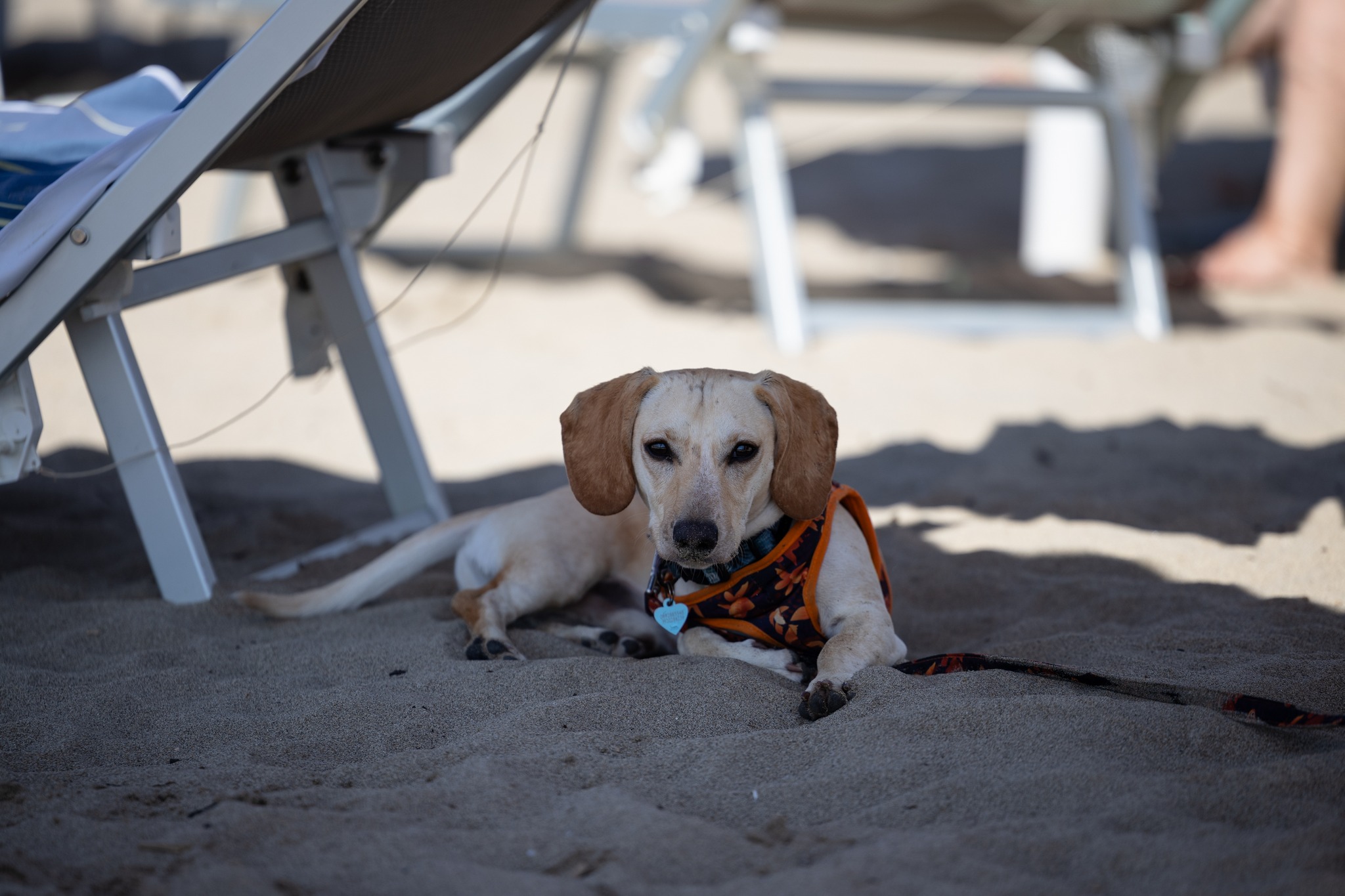 EraOra Hotel Village Paestum - Speciale Giugno