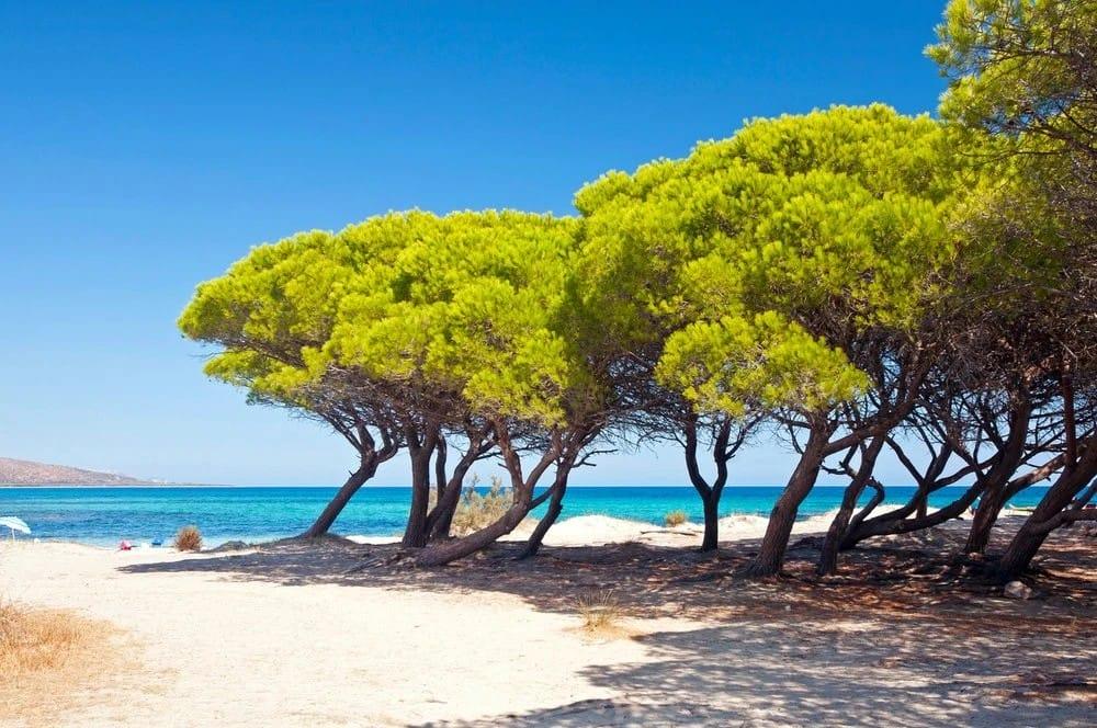 Futura Club Cala Fiorita