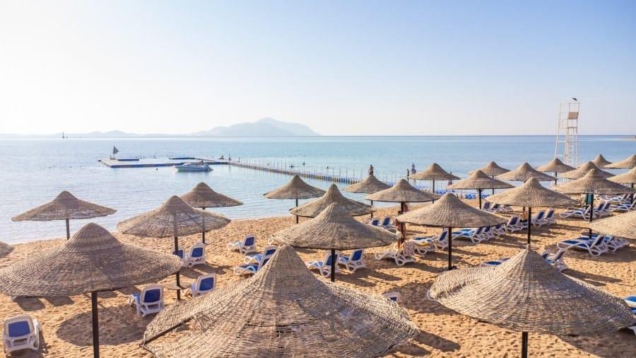 IVY Cyrene Sharm & Island Aquapark Resort Only Adult