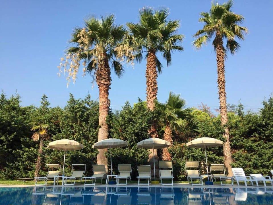 Sea Palace Hotel