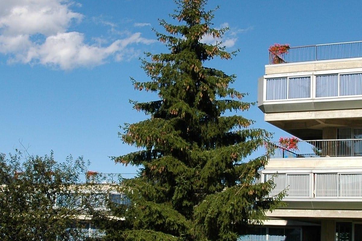 Hotel Marilleva 1400