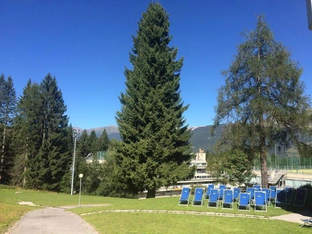 Hotel Marilleva 1400