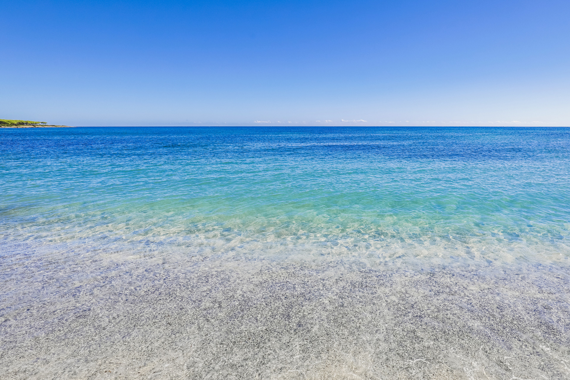 Nicolaus Club Li Cucutti