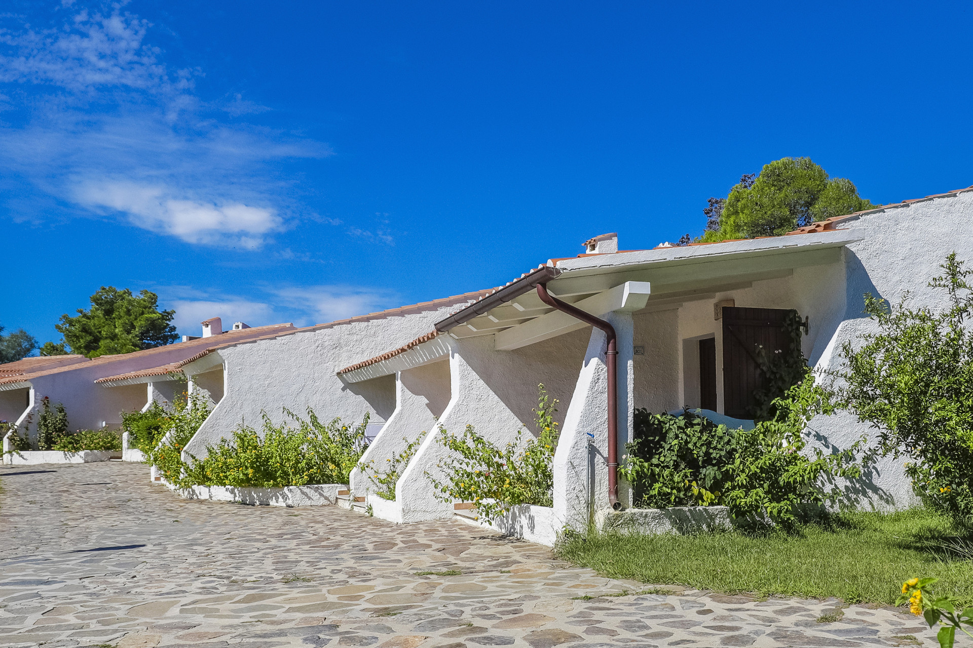 Nicolaus Club Li Cucutti