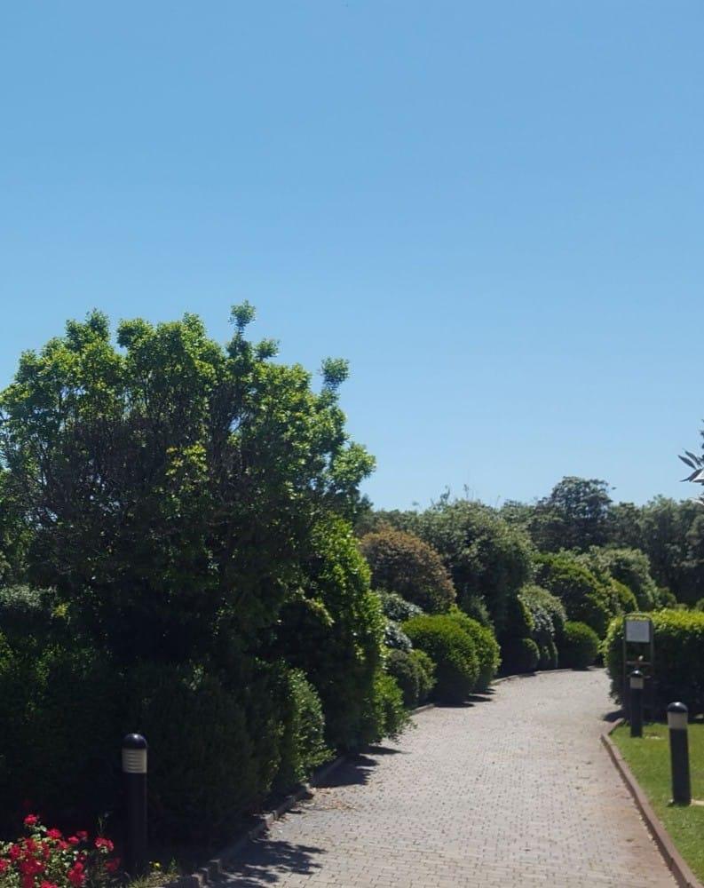 TH Tirrenia - Green Park Resort